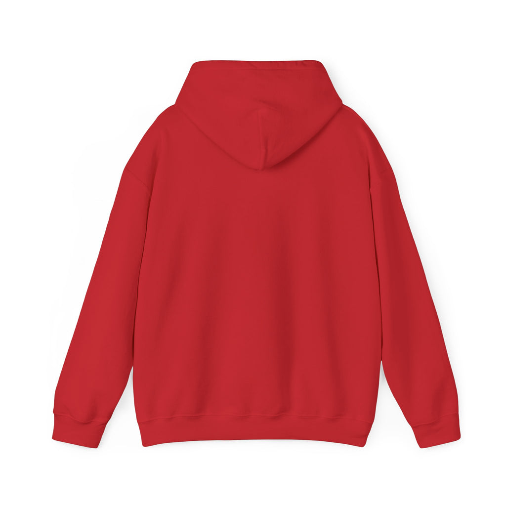 The Buffalo Football Plastics Hoodie Sweatshirt