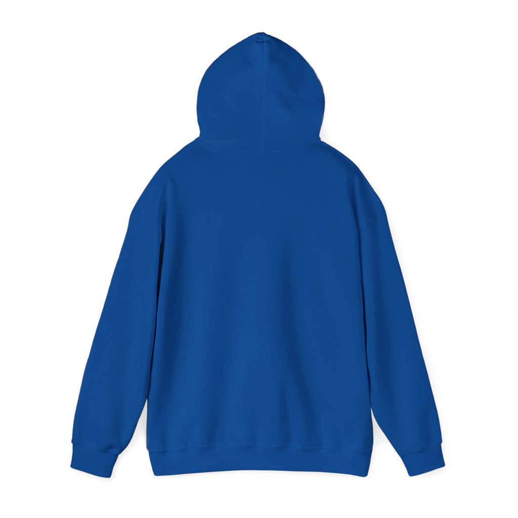 The Buffalo Football Plastics Hoodie Sweatshirt