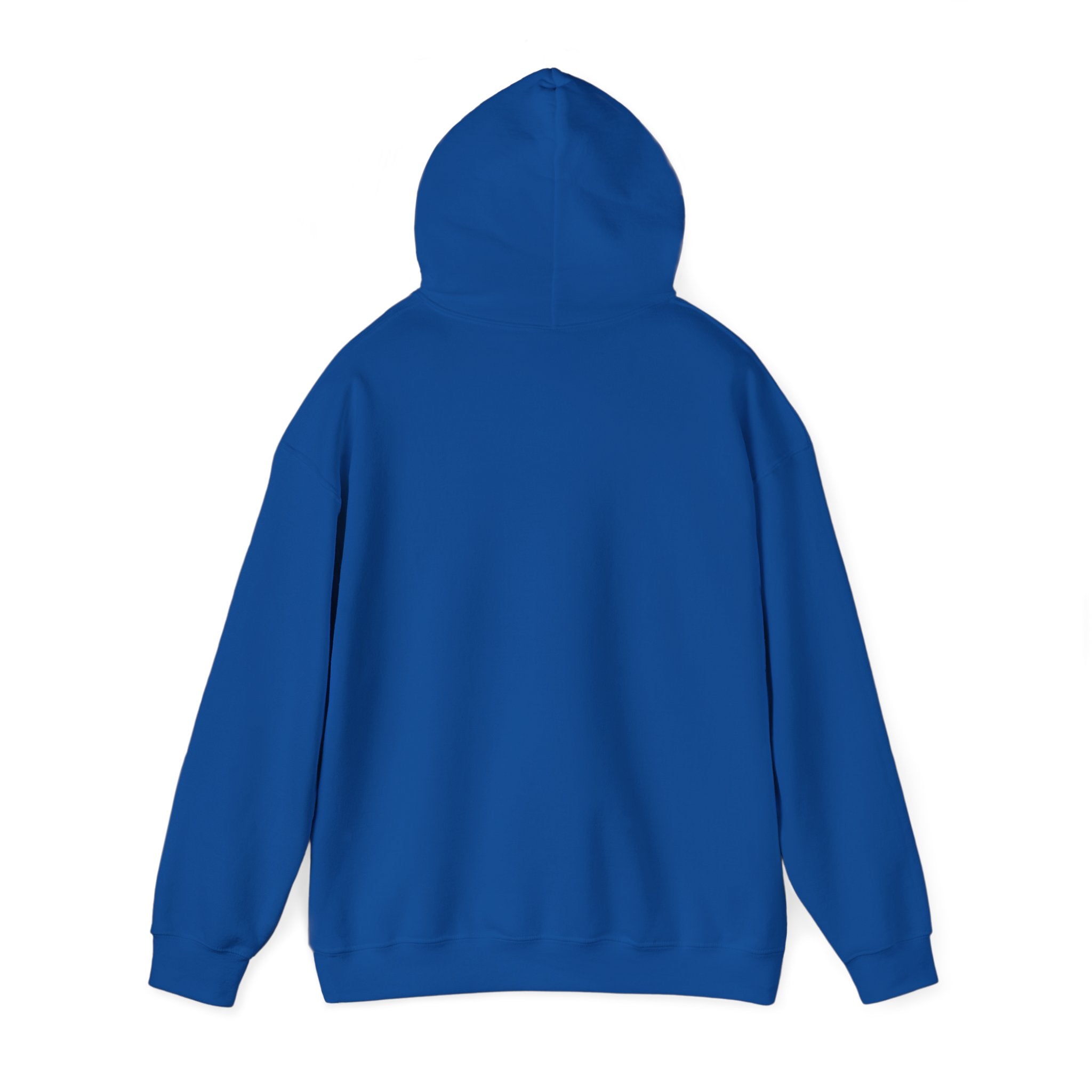 The Buffalo Football Plastics Hoodie Sweatshirt