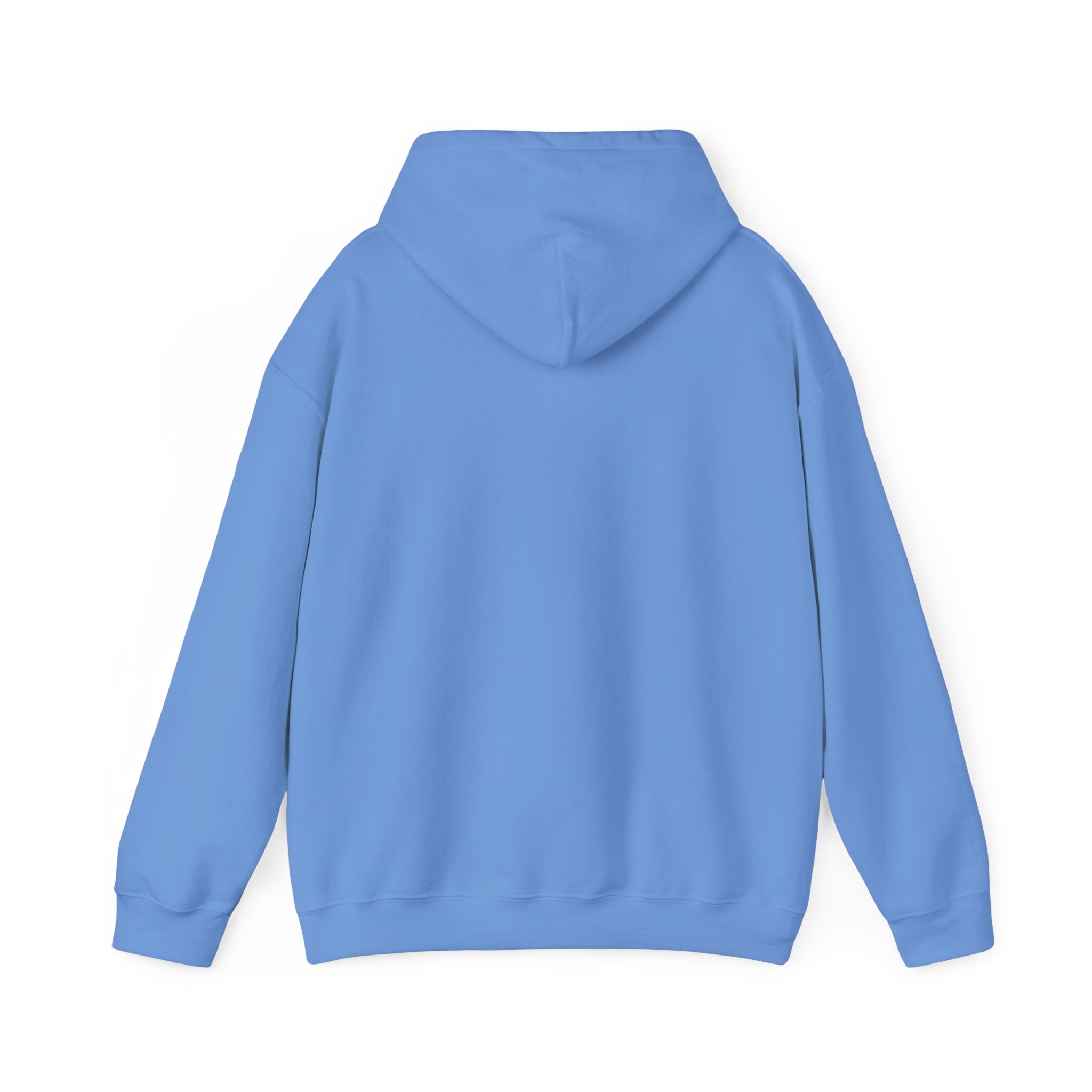 The Buffalo Football Plastics Hoodie Sweatshirt