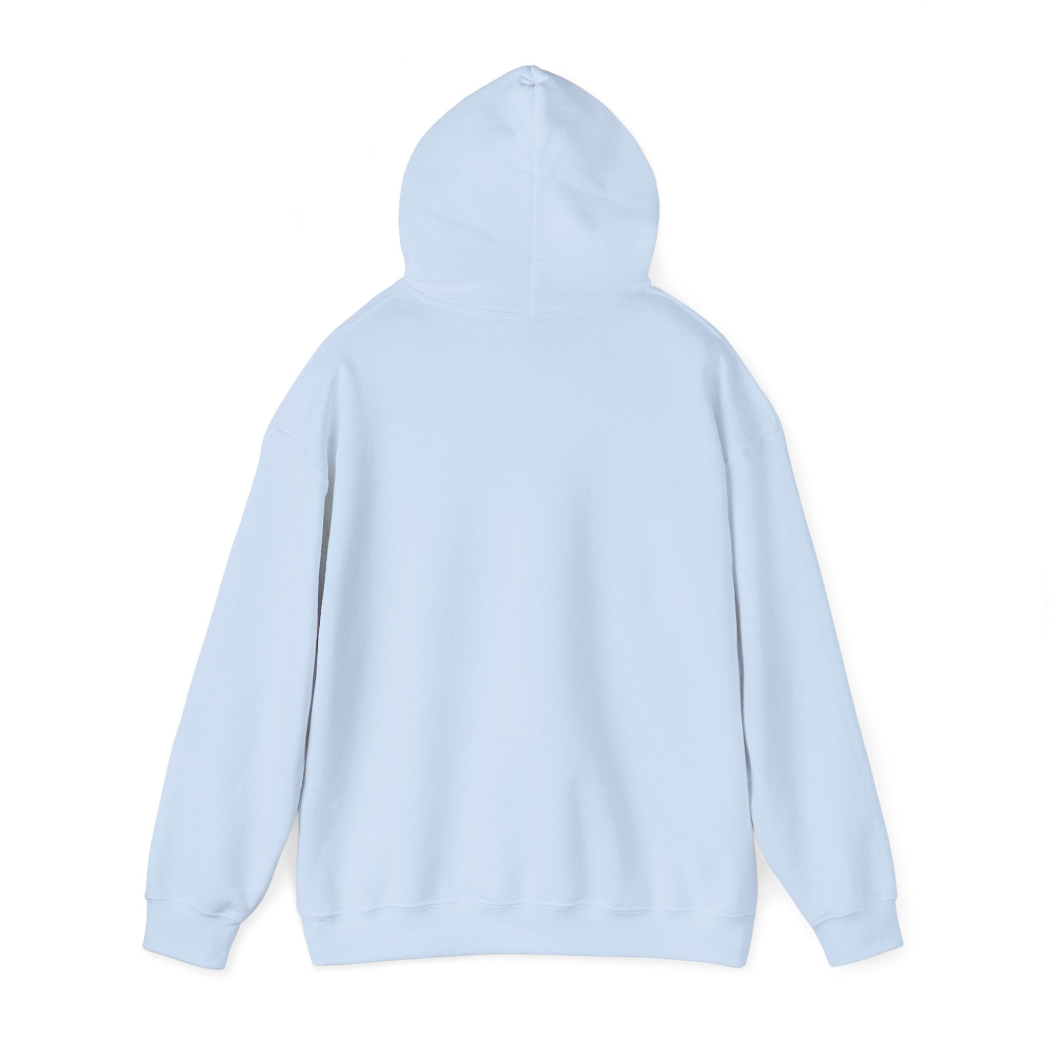 The Buffalo Football Plastics Hoodie Sweatshirt