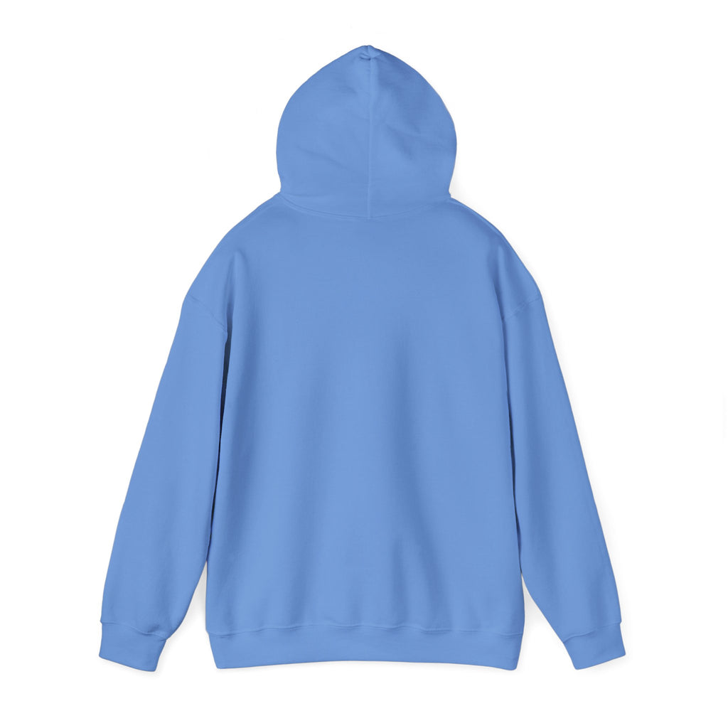 The Buffalo Football Plastics Hoodie Sweatshirt