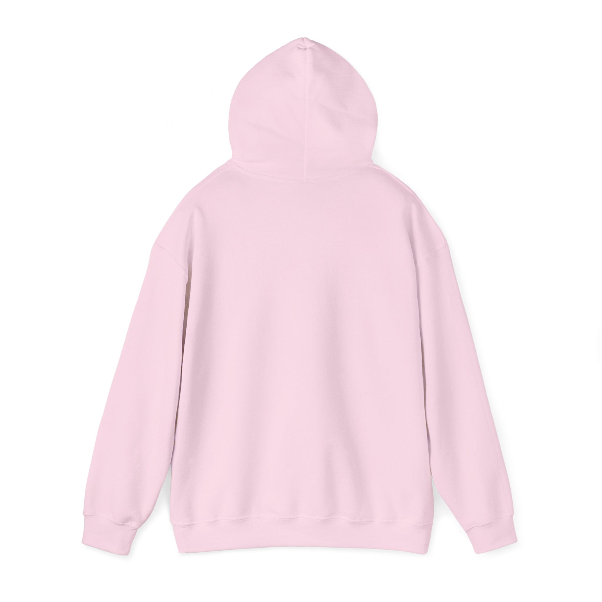 The Buffalo Football Plastics Hoodie Sweatshirt