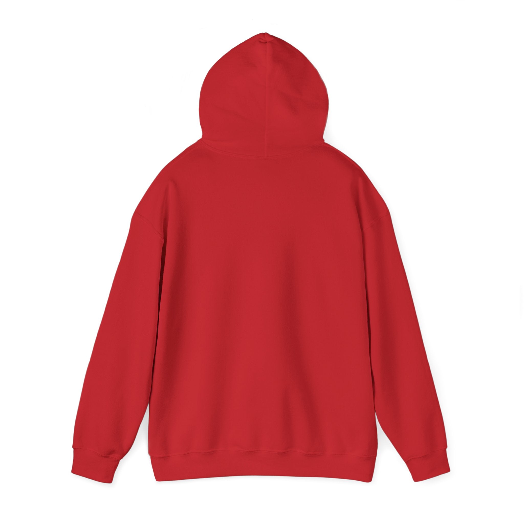 The Buffalo Football Plastics Hoodie Sweatshirt