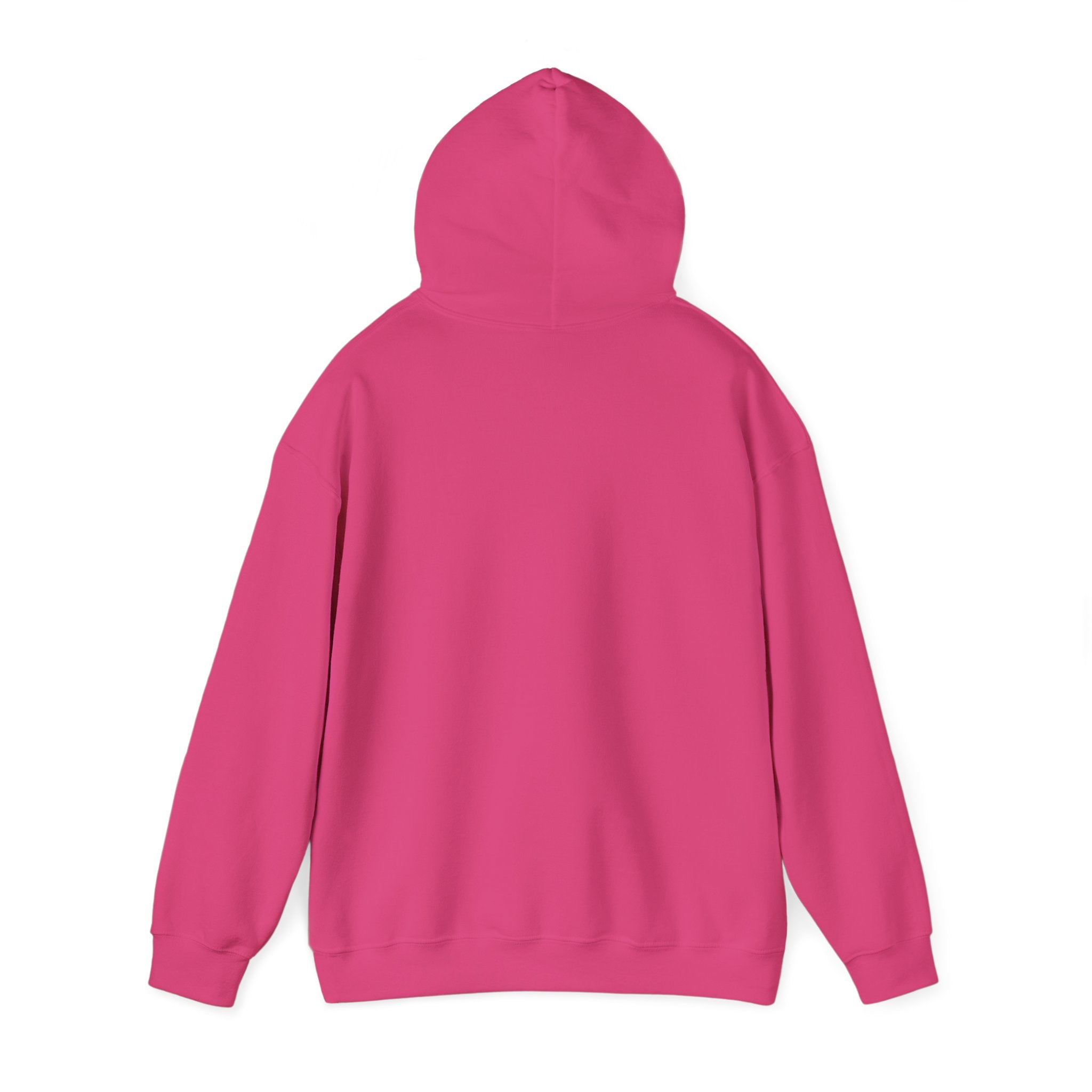 The Buffalo Football Plastics Hoodie Sweatshirt
