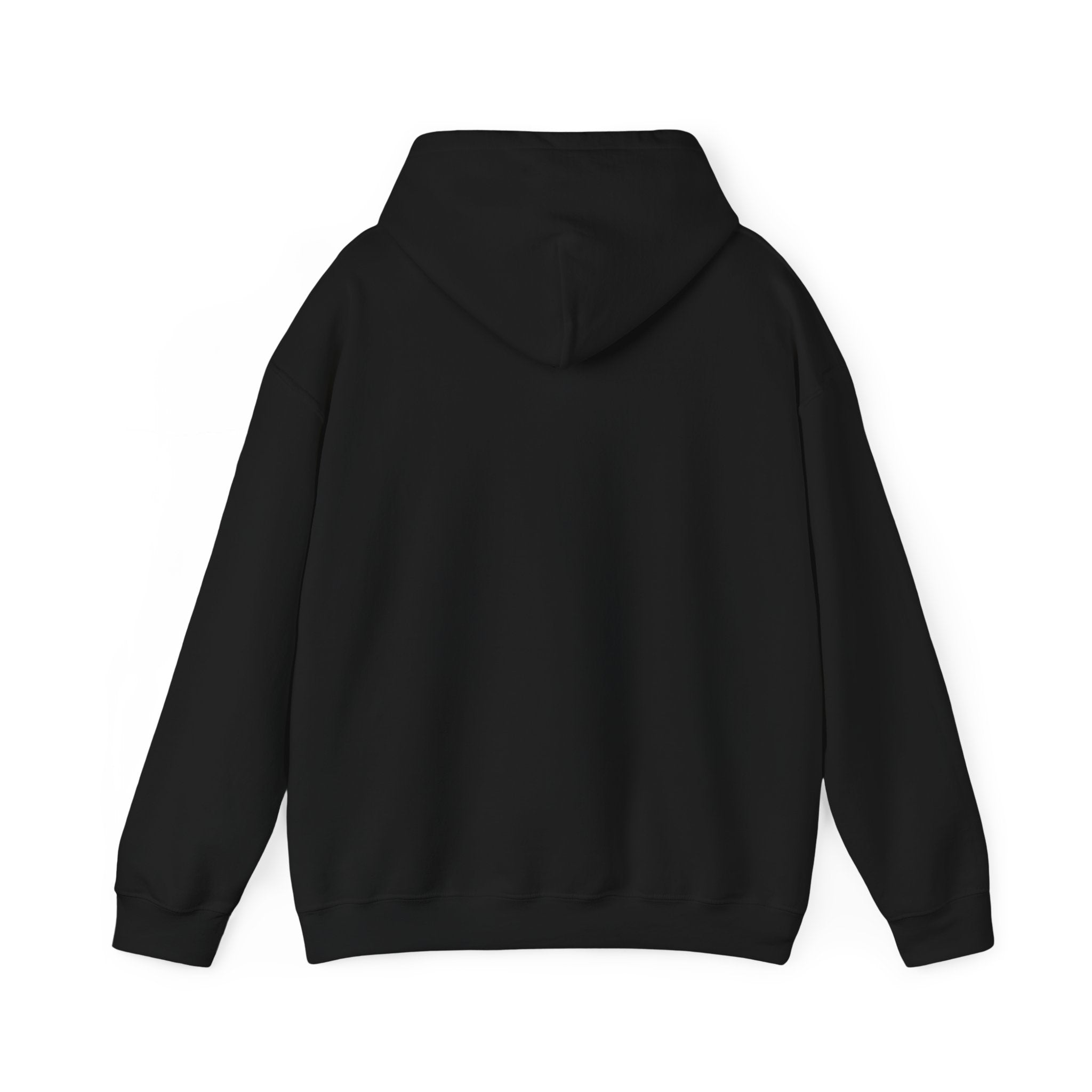 The Buffalo Football Plastics Hoodie Sweatshirt