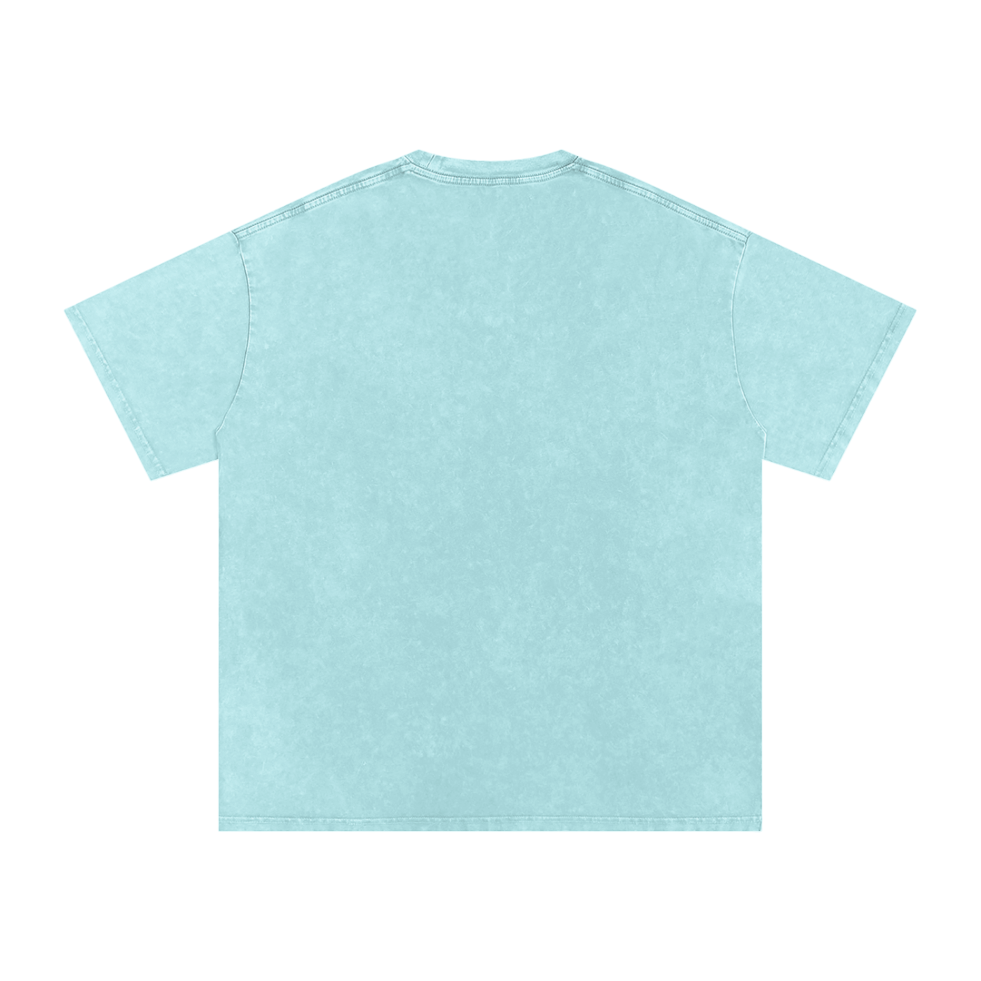 BBPALOOZA 2026 Vintage Washed T-Shirt