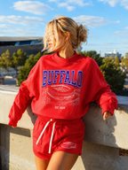 Buffalo Stadium 2026 Mockneck Sweatshirt set